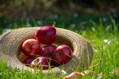 Nachhaltige Produkte für Kinder: nachhaltig Eltern werden